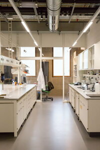 lab